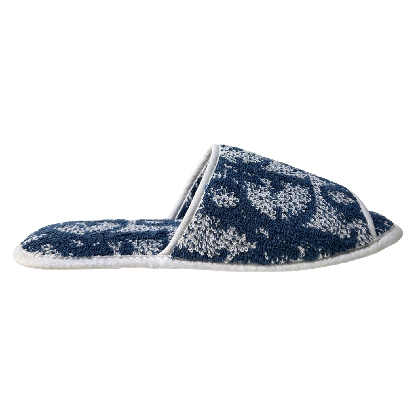 CHRISTIAN DIOR Trotter Room Shoes