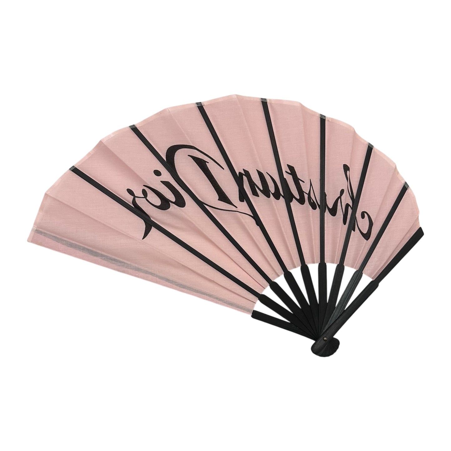 CHRISTIAN DIOR Wooden Folding Hand Fan with Logo