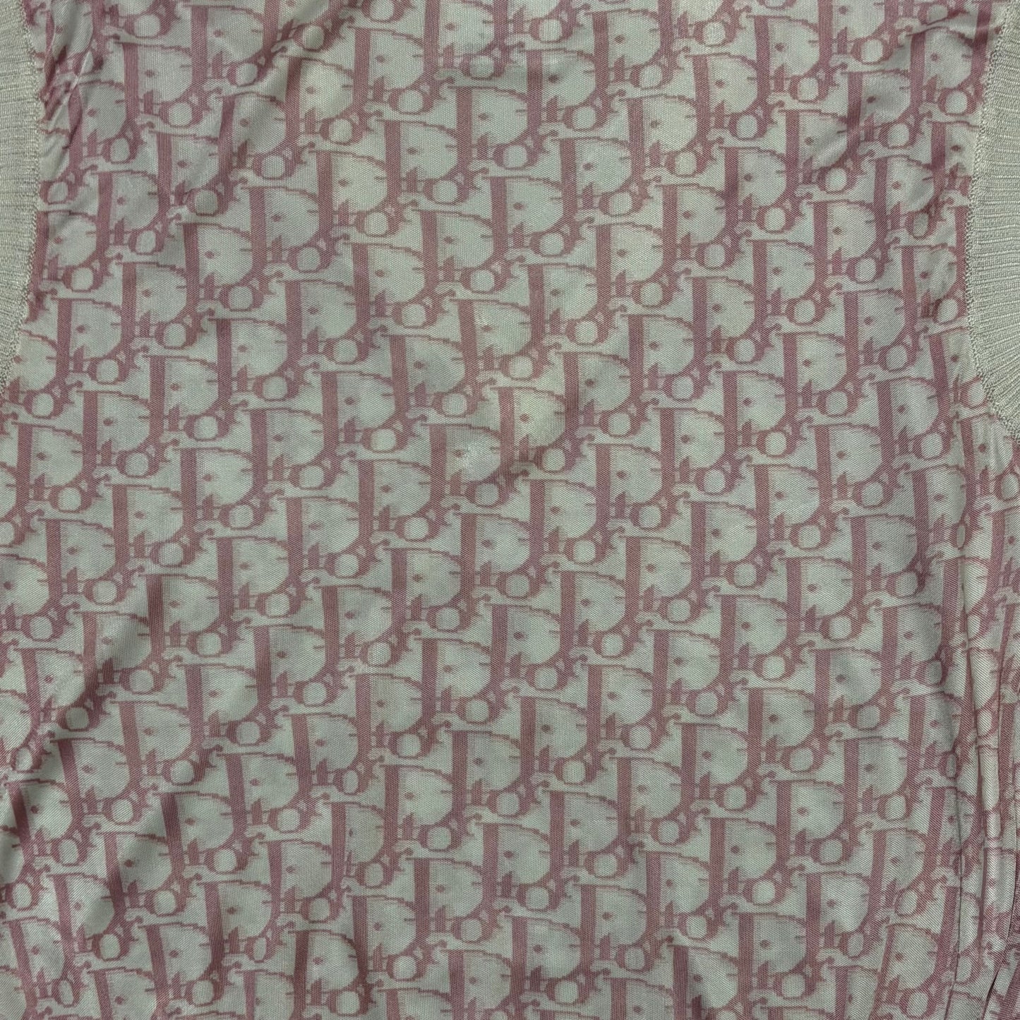 CHRISTIAN DIOR Spring Summer 2004 Trotter Logo Knit Vest