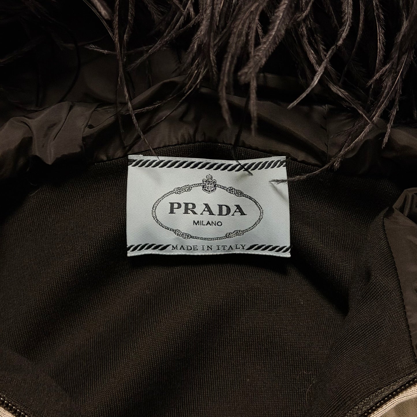 PRADA Fall Winter 2017 "THE LION HOUSE" Zip-Up Hoodie with Ostrich Feathers