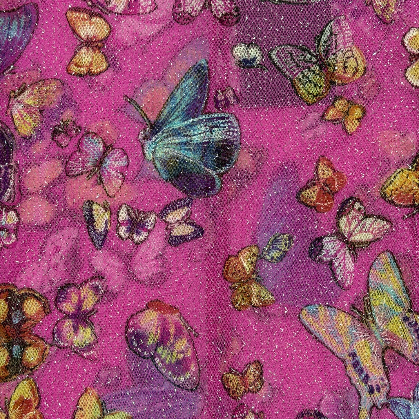 D&G Fall Winter 2000 Butterfly Print Sheer Lurex Top
