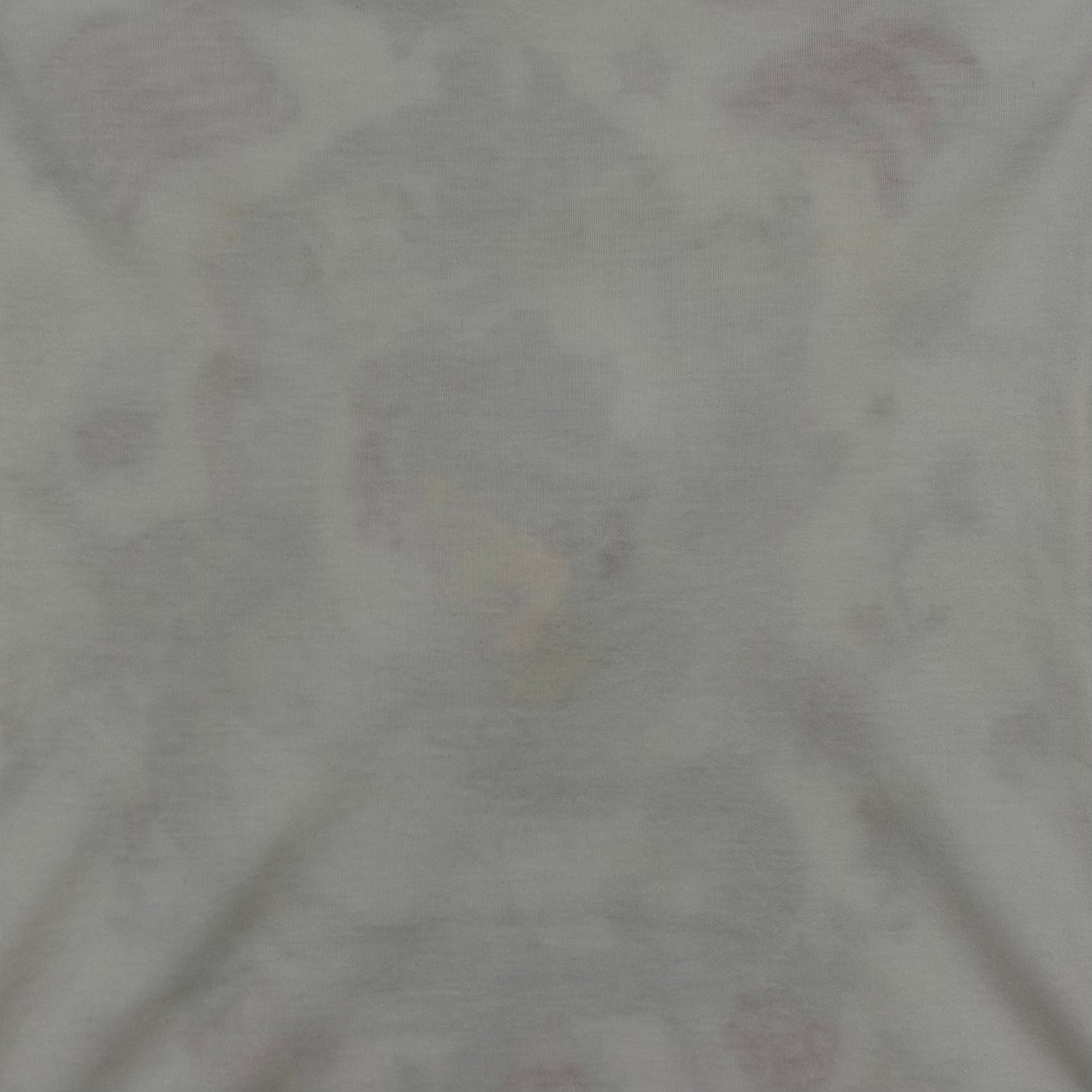 CHRISTIAN DIOR Spring 2004 Gitane Tatoo Print T-Shirt with Earrings Detail