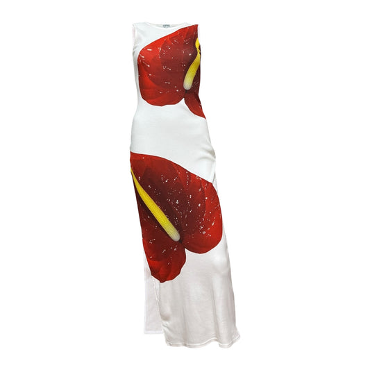 LOEWE Spring Summer 2023 Anthurium Printed Ribbed Stretch Maxi Dress